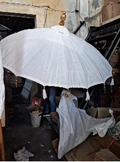 UMBRELLAS